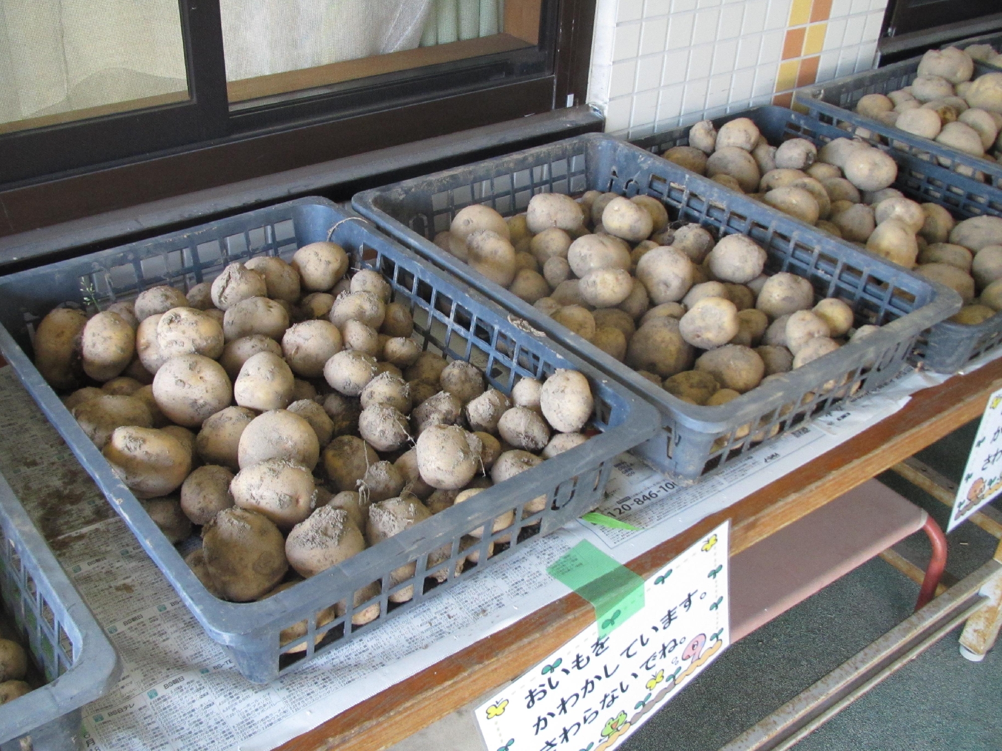 【重要】令和6年度の入園説明会について（終了しました）